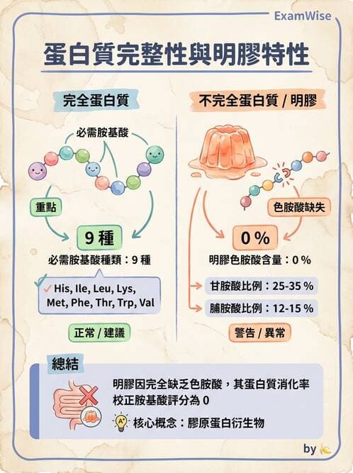 醫檢師 - 胺基酸代謝與先天性疾病 - AI 圖文解析預覽