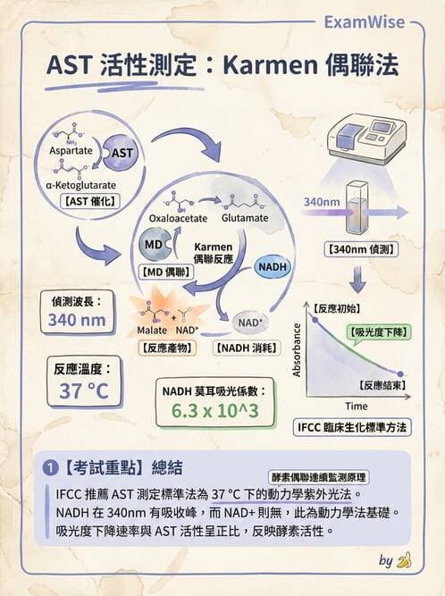 醫檢師 - 臨床酵素學基礎 - AI 圖文解析預覽
