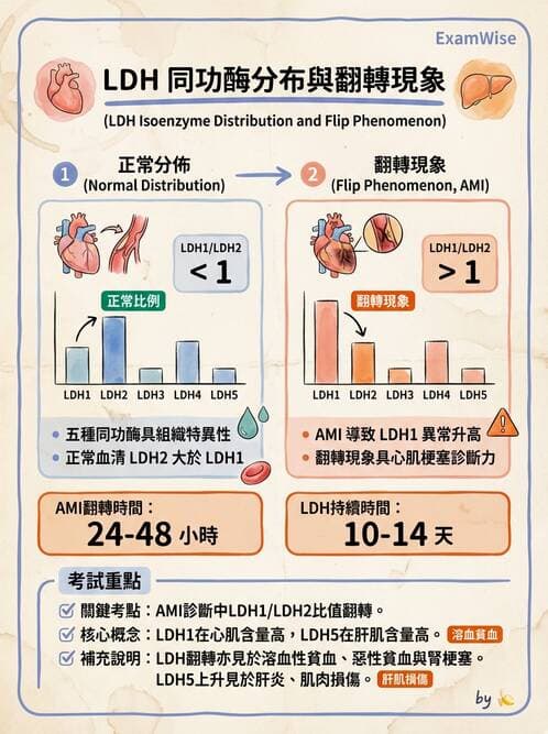 醫檢師 - 心肌標誌與心臟診斷 - AI 圖文解析預覽