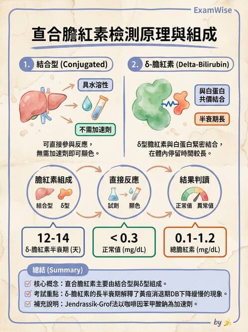 醫檢師 - 肝臟機能與胰臟酵素 - AI 圖文解析預覽