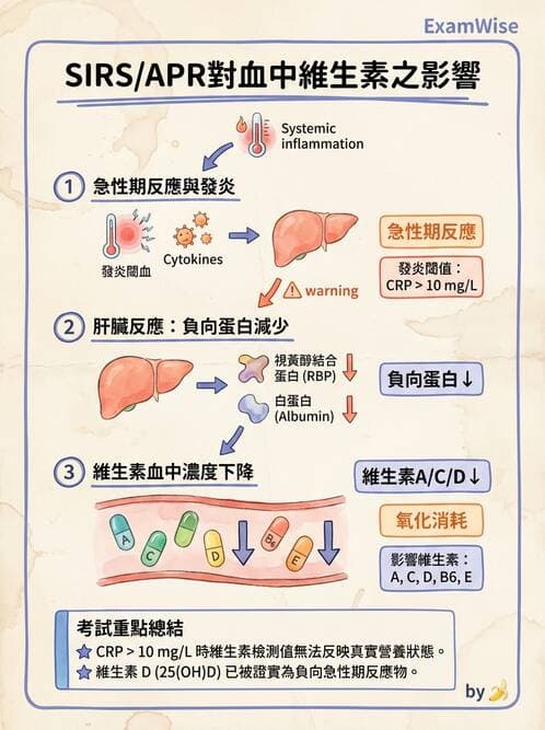 醫檢師 - 維生素 - AI 圖文解析預覽