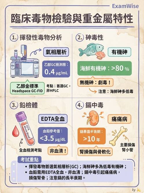 醫檢師 - 治療藥物監測與毒物學 - AI 圖文解析預覽
