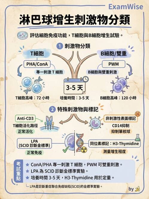 醫檢師 - 實驗室測試免疫法 - AI 圖文解析預覽