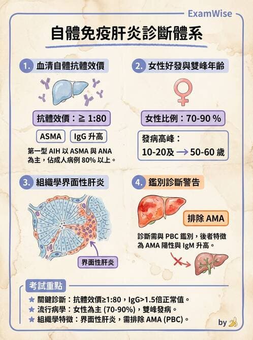 醫檢師 - 其他自體免疫疾病與自體抗體檢驗 - AI 圖文解析預覽