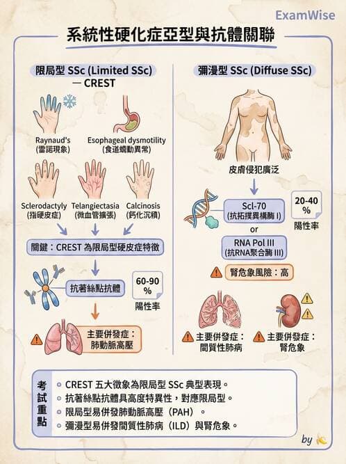 醫檢師 - 其他自體免疫疾病與自體抗體檢驗 - AI 圖文解析預覽