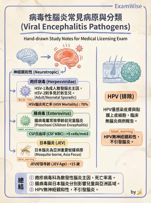醫檢師 - 人類乳突病毒 - AI 圖文解析預覽