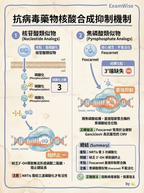 醫檢師 - 抗病毒藥物與疫苗通論 - AI 圖文解析預覽