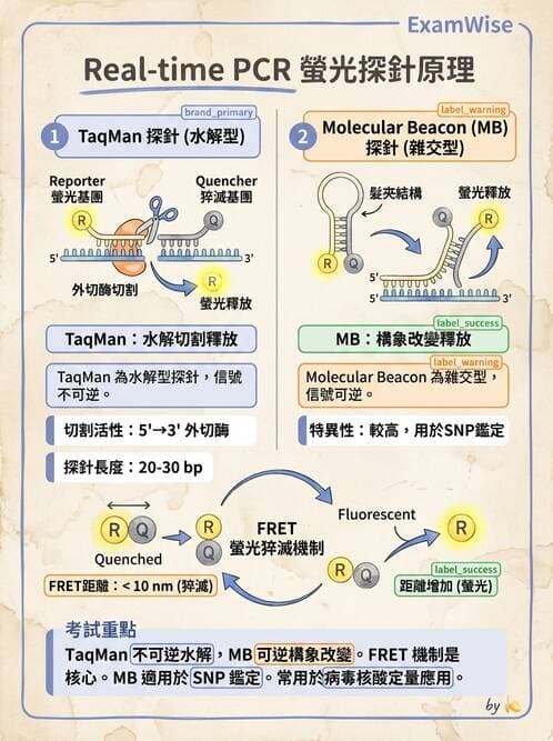 醫檢師 - 病毒檢驗技術 - AI 圖文解析預覽