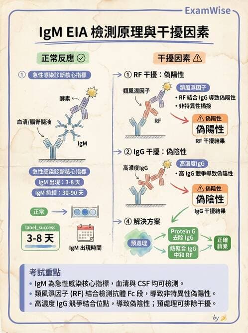 醫檢師 - 病毒檢驗技術 - AI 圖文解析預覽