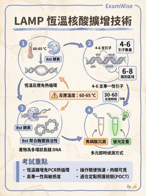醫檢師 - 病毒檢驗技術 - AI 圖文解析預覽