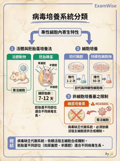 醫檢師 - 病毒檢驗技術 - AI 圖文解析預覽