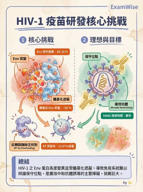 醫檢師 - 反轉錄病毒(HIV/HTLV) - AI 圖文解析預覽