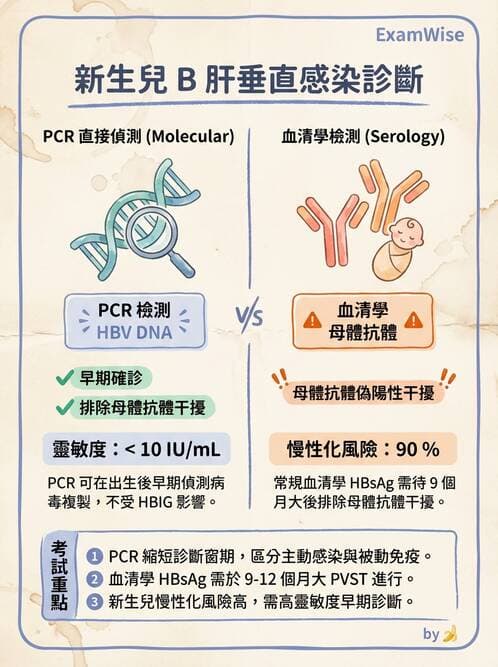 醫檢師 - B型肝炎病毒 - AI 圖文解析預覽