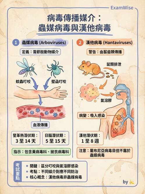醫檢師 - 其他RNA病毒 - AI 圖文解析預覽