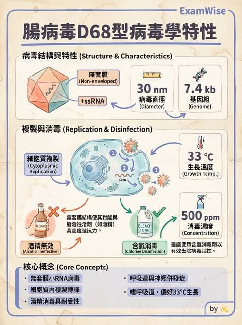 醫檢師 - 小RNA病毒科與腸道病毒 - AI 圖文解析預覽