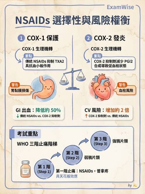 專師 - 疼痛控制與止痛藥物 - AI 圖文解析預覽