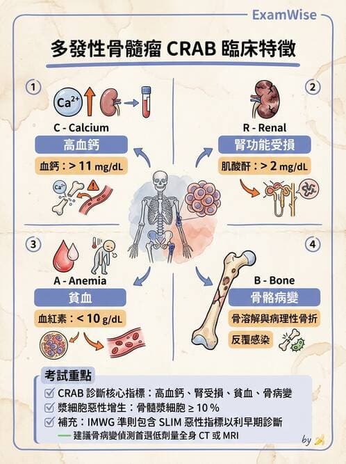 專師 - 肺癌與消化道癌 - AI 圖文解析預覽