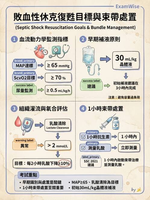 專師 - 敗血症治療與復甦指引 - AI 圖文解析預覽