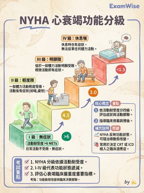 專師 - 心衰竭 - AI 圖文解析預覽