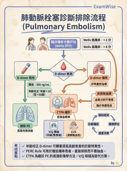 專師 - 肺栓塞與其他肺疾 - AI 圖文解析預覽