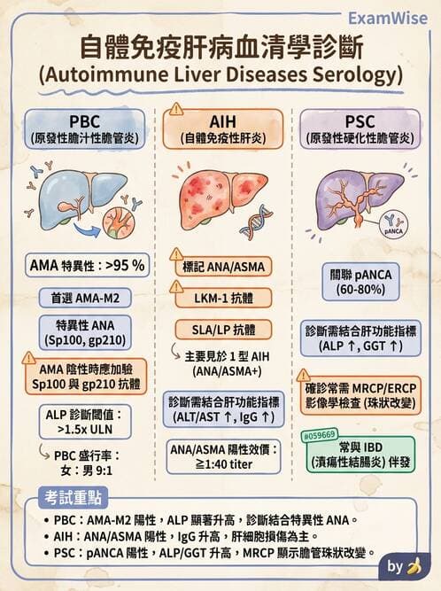 專師 - 膽道與胰臟 - AI 圖文解析預覽