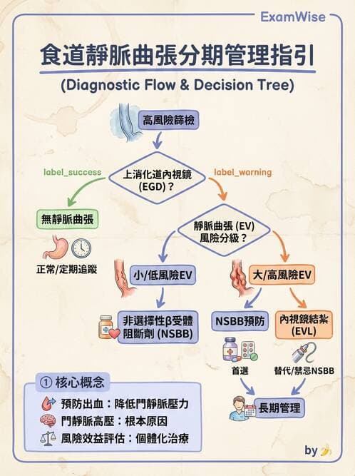 專師 - 肝硬化與併發症 - AI 圖文解析預覽