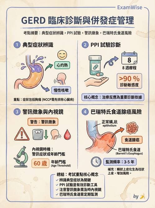 專師 - 上消化道 - AI 圖文解析預覽