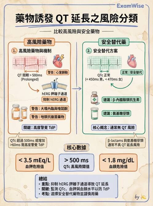 專師 - 抗生素藥理 - AI 圖文解析預覽