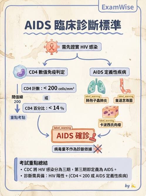 專師 - 性傳播感染 - AI 圖文解析預覽
