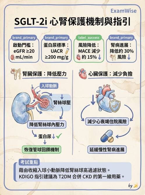 專師 - 糖尿病腎病變與腎絲球疾病 - AI 圖文解析預覽