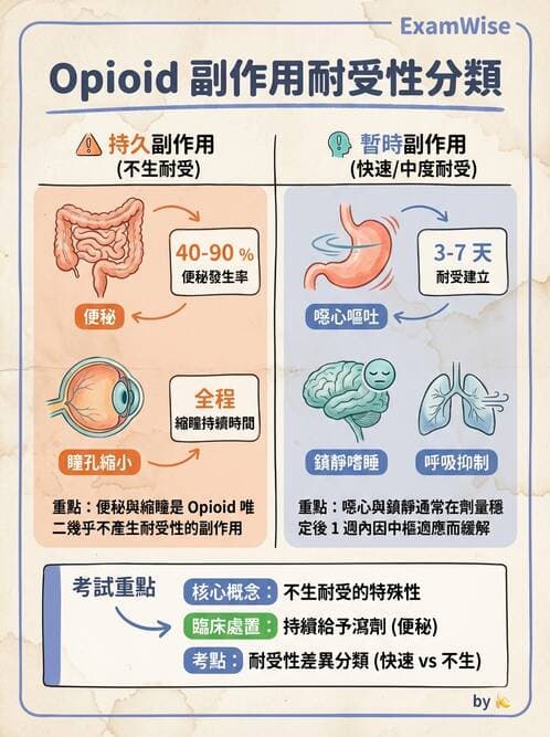 專師 - 疼痛控制與止痛藥物 - AI 圖文解析預覽