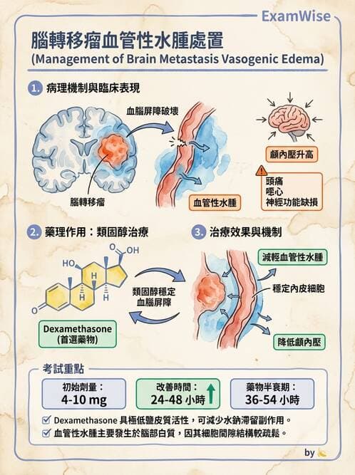 專師 - 疼痛控制與止痛藥物 - AI 圖文解析預覽