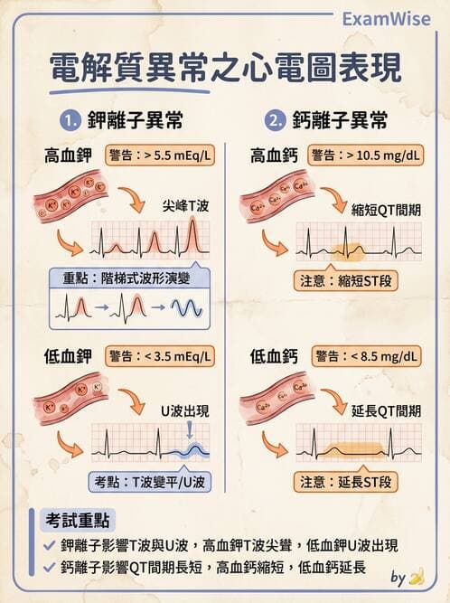 醫檢師 - 心肌病變與特殊心電圖 - AI 圖文解析預覽