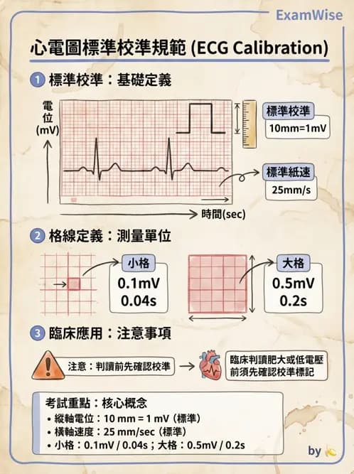醫檢師 - 心電圖基礎與判讀 - AI 圖文解析預覽