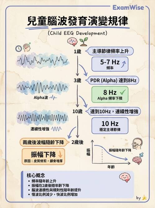醫檢師 - 腦電圖檢查 - AI 圖文解析預覽