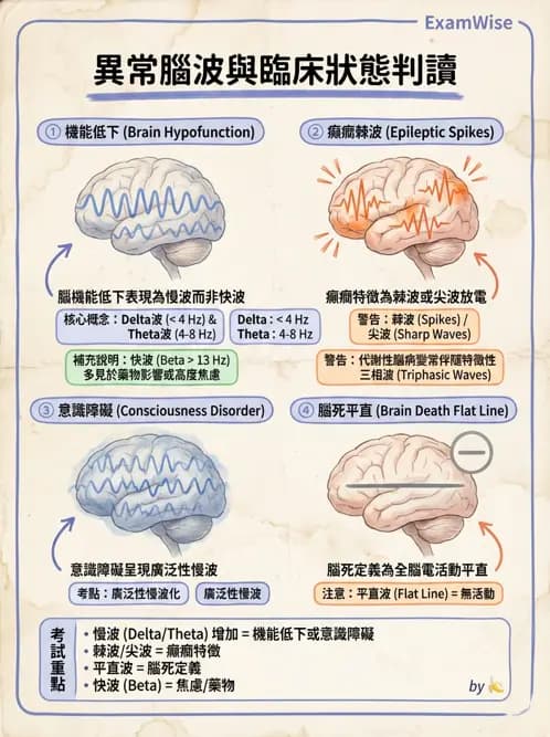 醫檢師 - 腦電圖檢查 - AI 圖文解析預覽