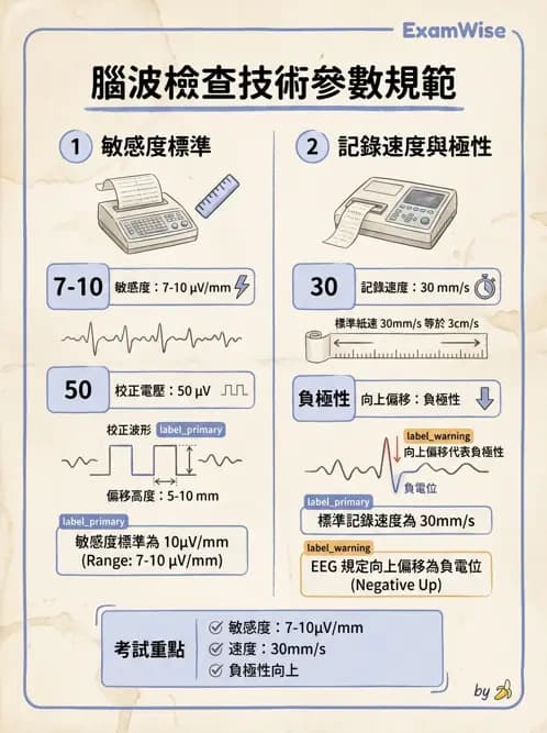 醫檢師 - 腦電圖檢查 - AI 圖文解析預覽