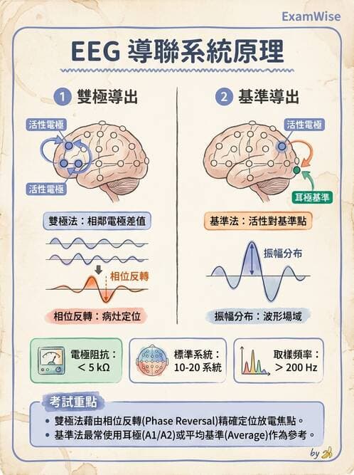 醫檢師 - 腦電圖檢查 - AI 圖文解析預覽