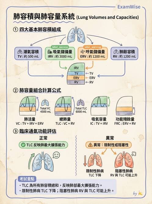 醫檢師 - 肺功能基礎與指標 - AI 圖文解析預覽