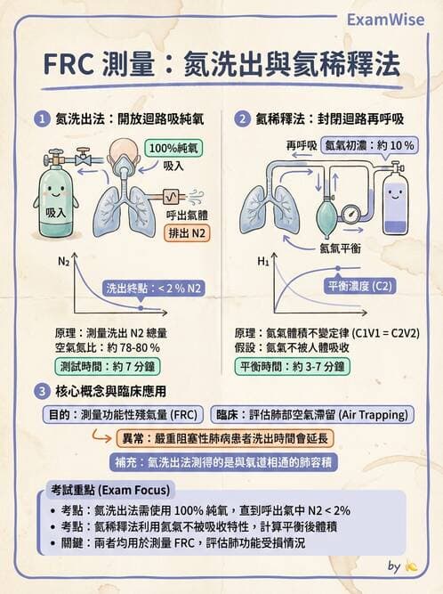 醫檢師 - 肺功能基礎與指標 - AI 圖文解析預覽