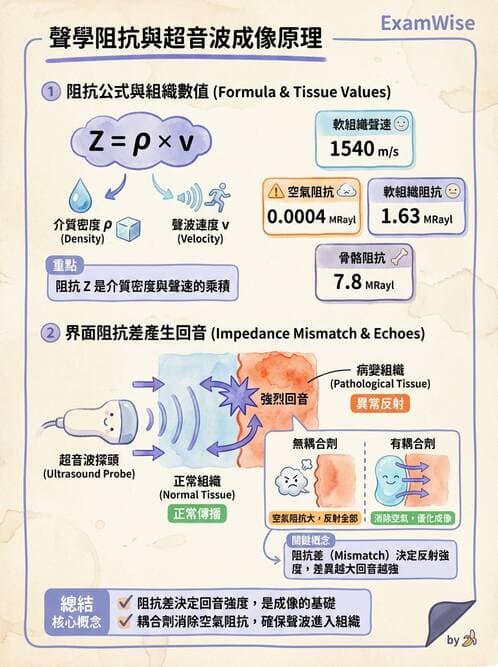 醫檢師 - 超音波檢查 - AI 圖文解析預覽