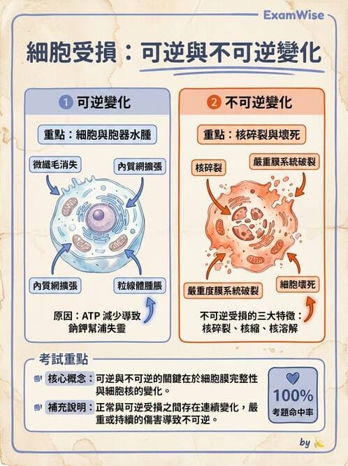 醫檢師 - 細胞傷害、發炎與修復 - AI 圖文解析預覽