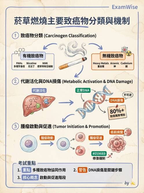 醫檢師 - 物理和化學傷害及營養疾病 - AI 圖文解析預覽