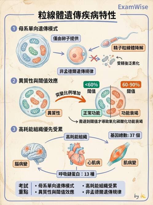 醫檢師 - 遺傳和發育疾病 - AI 圖文解析預覽