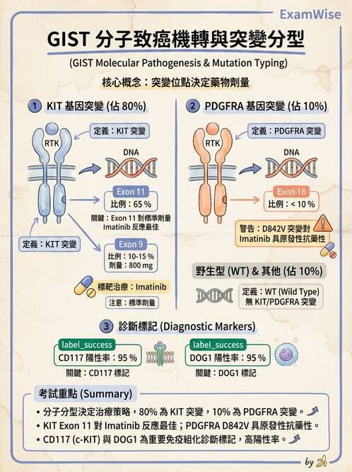 醫檢師 - 消化肝膽疾病 - AI 圖文解析預覽