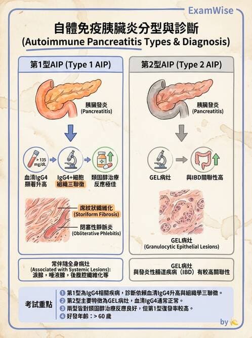 醫檢師 - 消化肝膽疾病 - AI 圖文解析預覽