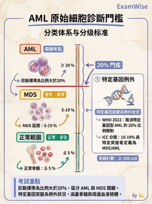 醫檢師 - 急性白血病 - AI 圖文解析預覽