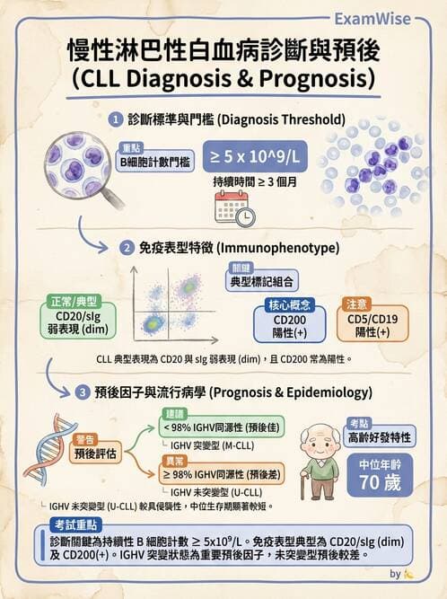 醫檢師 - 慢性血液腫瘤與骨髓增生疾患 - AI 圖文解析預覽