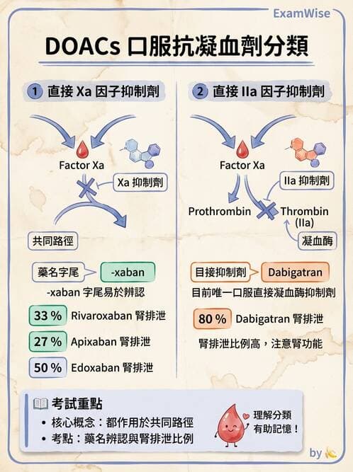 醫檢師 - 血栓性疾病與抗凝治療監測 - AI 圖文解析預覽