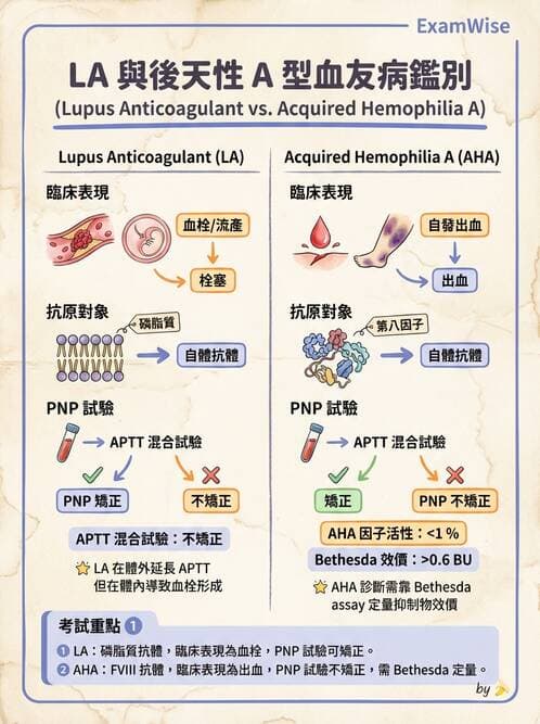 醫檢師 - 血栓性疾病與抗凝治療監測 - AI 圖文解析預覽